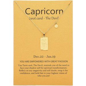 14k Gold Plated Zodiac Sign with Tarot Card Pendant Necklace Birthday Gift